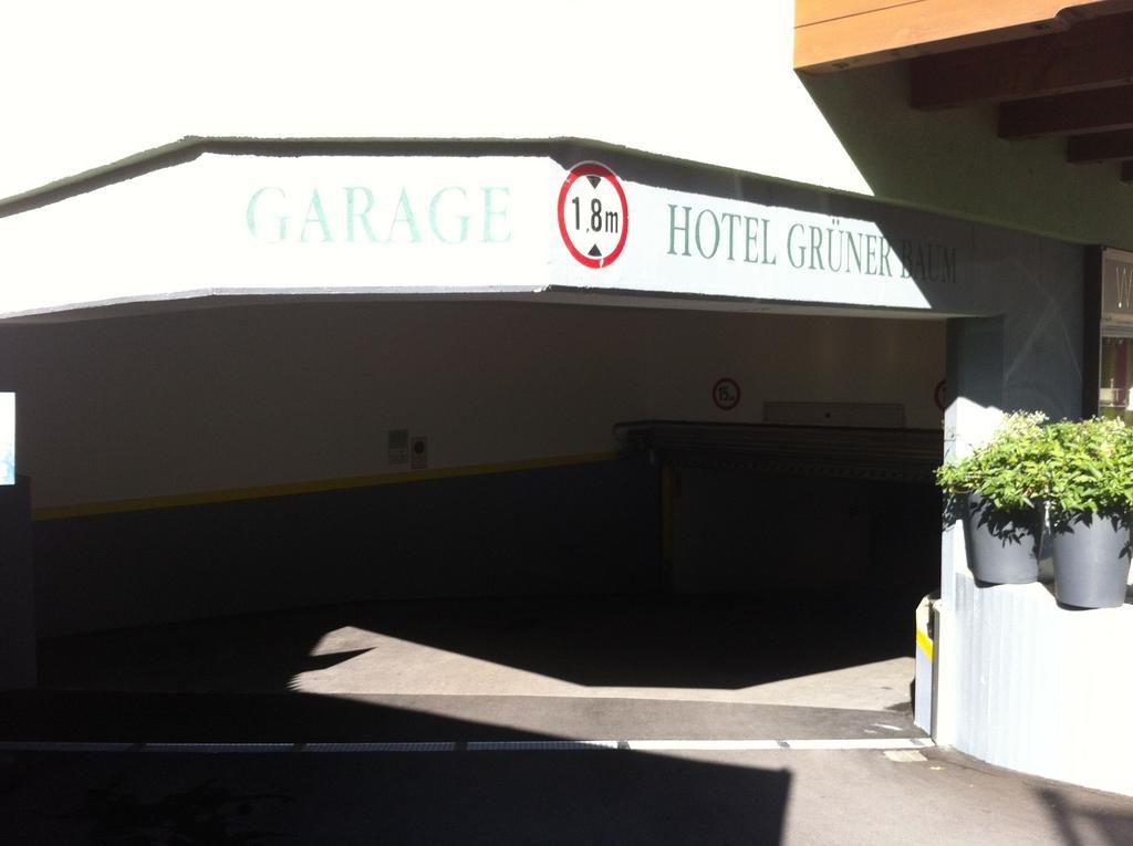 Hotel Gruener Baum Zell am See Luaran gambar